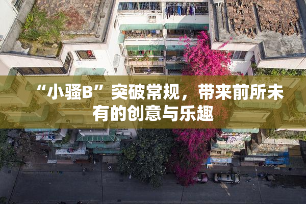 “小骚B”突破常规，带来前所未有的创意与乐趣
