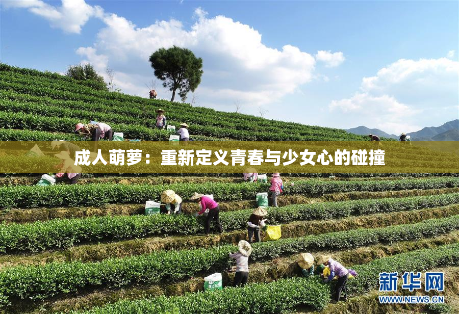 成人萌萝：重新定义青春与少女心的碰撞