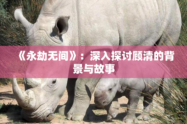《永劫无间》：深入探讨顾清的背景与故事