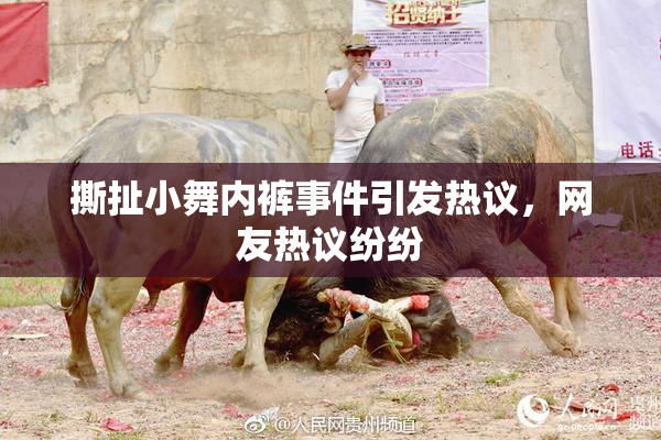 撕扯小舞内裤事件引发热议，网友热议纷纷