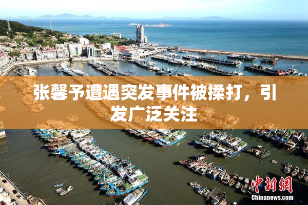 张馨予遭遇突发事件被揉打，引发广泛关注