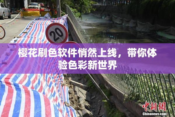 樱花刷色软件悄然上线，带你体验色彩新世界