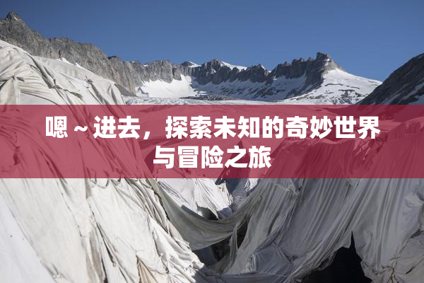 嗯～进去，探索未知的奇妙世界与冒险之旅