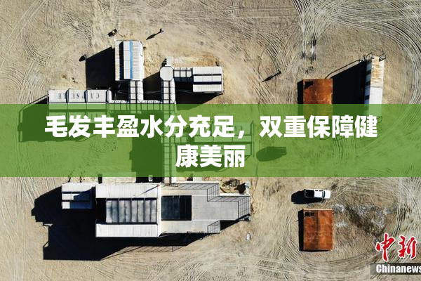 毛发丰盈水分充足，双重保障健康美丽