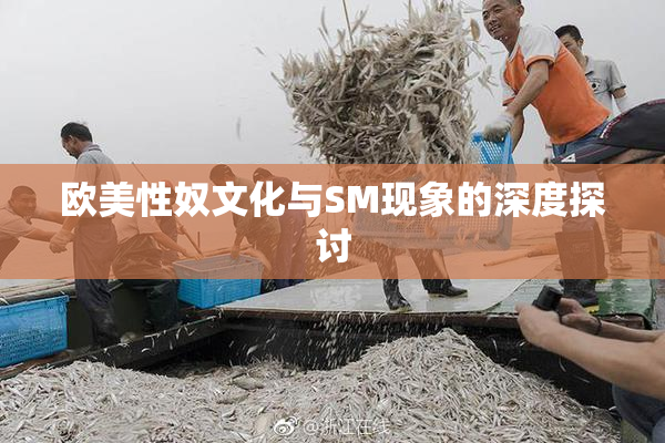 欧美性奴文化与SM现象的深度探讨