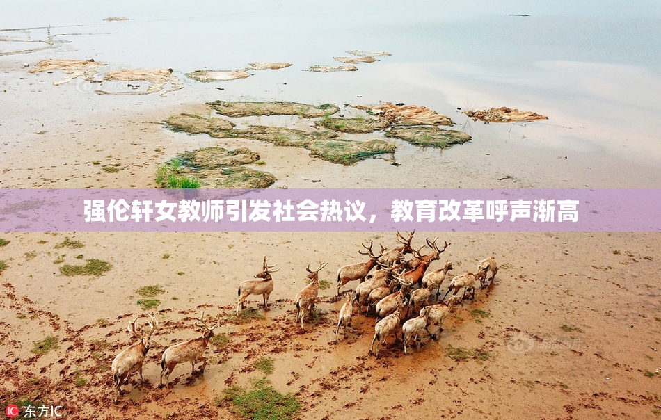 强伦轩女教师引发社会热议，教育改革呼声渐高