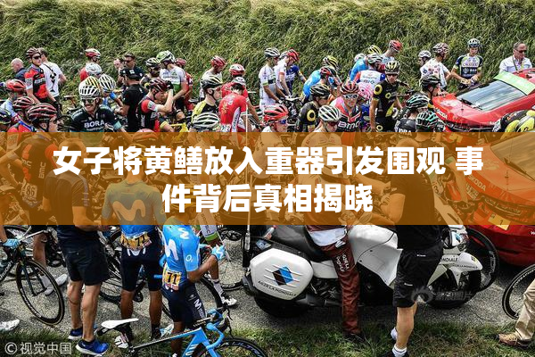 女子将黄鳝放入重器引发围观 事件背后真相揭晓