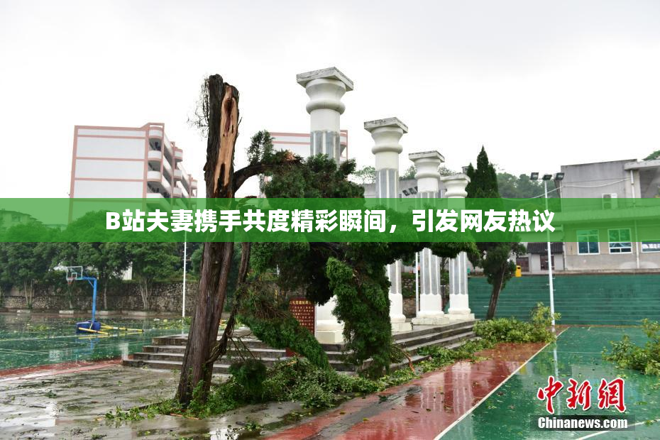 B站夫妻携手共度精彩瞬间，引发网友热议