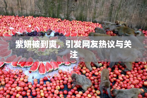 紫妍被到爽，引发网友热议与关注