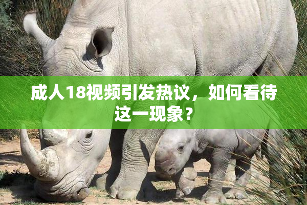 成人18视频引发热议，如何看待这一现象？