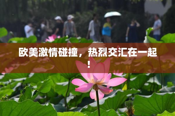 欧美激情碰撞，热烈交汇在一起！