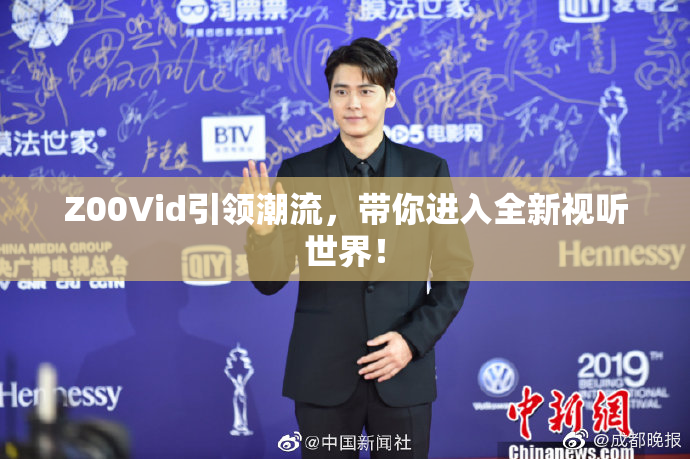 Z00Vid引领潮流，带你进入全新视听世界！
