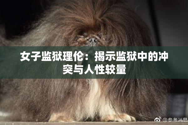 女子监狱理伦：揭示监狱中的冲突与人性较量