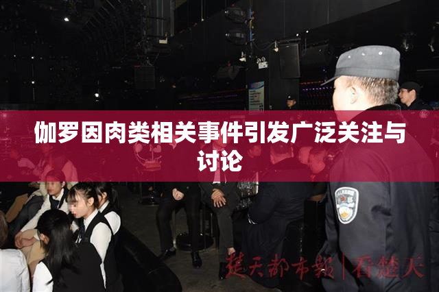 伽罗因肉类相关事件引发广泛关注与讨论