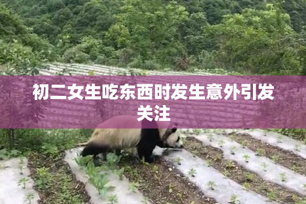 初二女生吃东西时发生意外引发关注