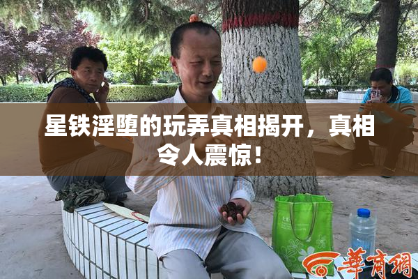 星铁淫堕的玩弄真相揭开，真相令人震惊！