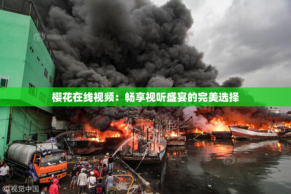 樱花在线视频：畅享视听盛宴的完美选择