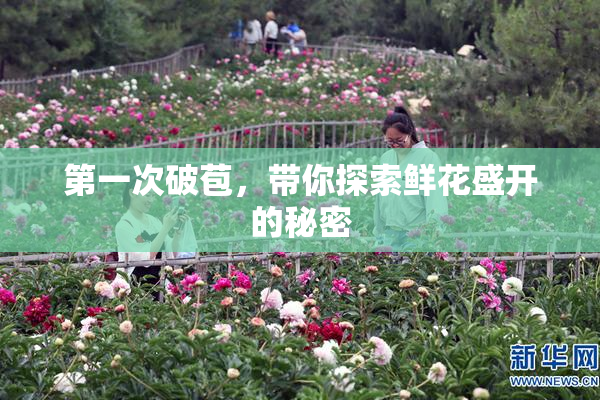 第一次破苞，带你探索鲜花盛开的秘密