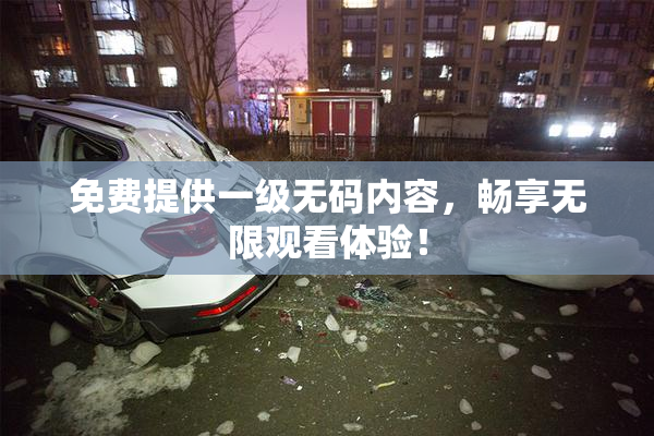 免费提供一级无码内容，畅享无限观看体验！
