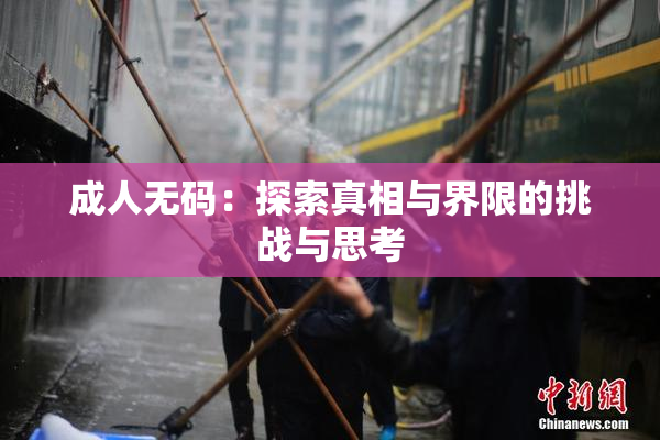 成人无码：探索真相与界限的挑战与思考