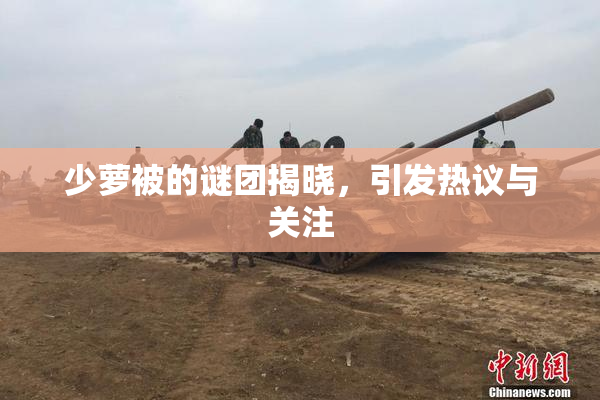 少萝被的谜团揭晓，引发热议与关注