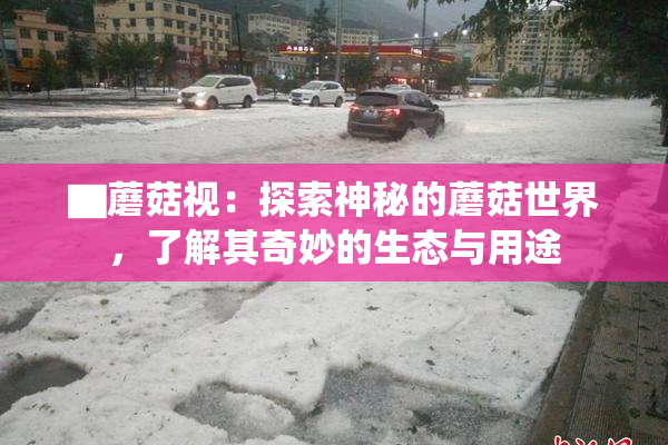▇蘑菇视：探索神秘的蘑菇世界，了解其奇妙的生态与用途