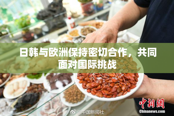 日韩与欧洲保持密切合作，共同面对国际挑战