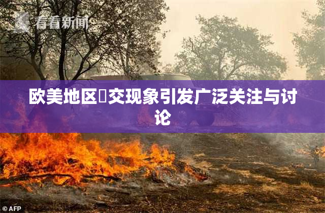 欧美地区嘼交现象引发广泛关注与讨论