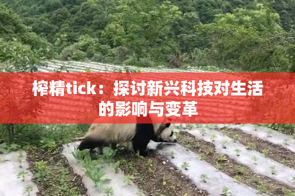 榨精tick：探讨新兴科技对生活的影响与变革