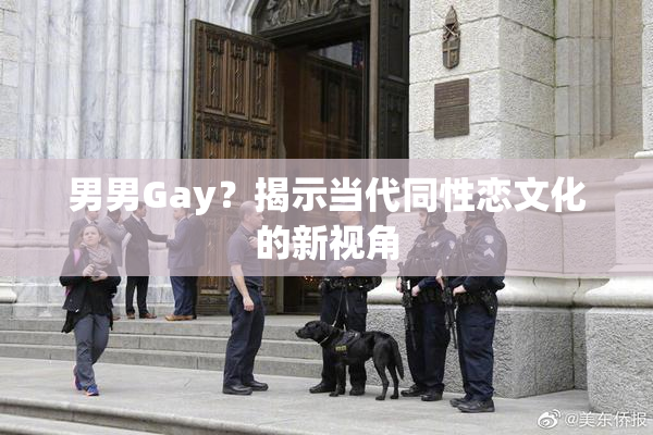 男男Gay？揭示当代同性恋文化的新视角