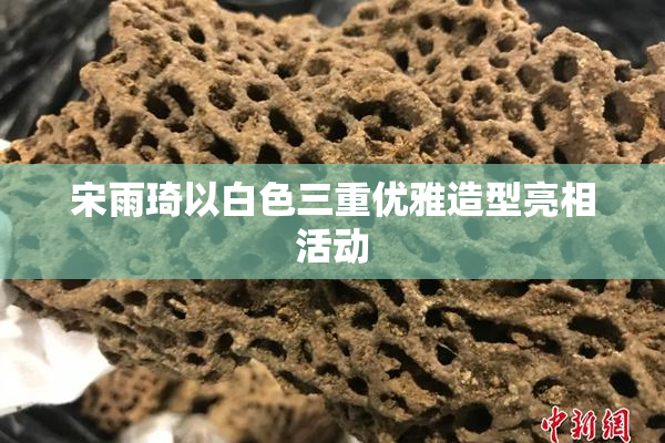 宋雨琦以白色三重优雅造型亮相活动