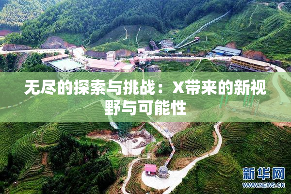 无尽的探索与挑战：X带来的新视野与可能性
