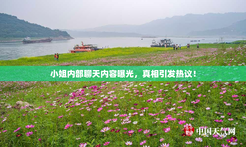 小姐内部聊天内容曝光，真相引发热议！