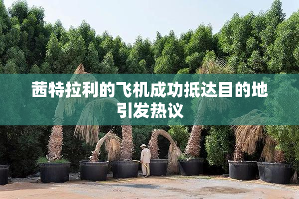 茜特拉利的飞机成功抵达目的地引发热议
