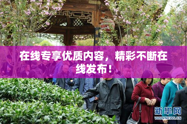 在线专享优质内容，精彩不断在线发布！