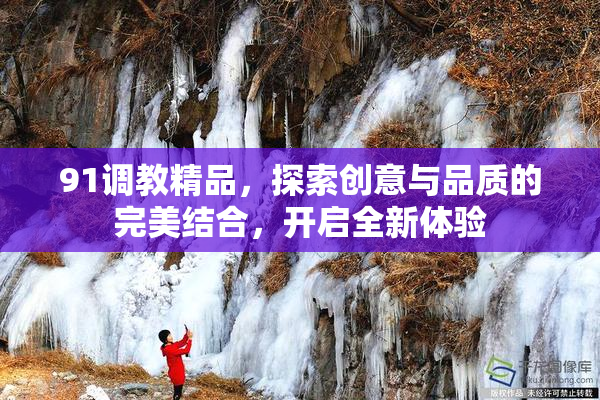 91调教精品，探索创意与品质的完美结合，开启全新体验