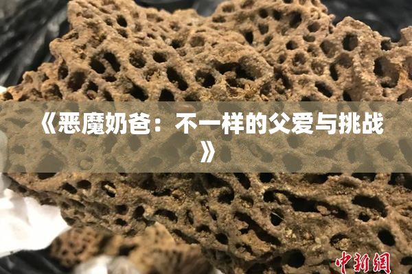 《恶魔奶爸：不一样的父爱与挑战》