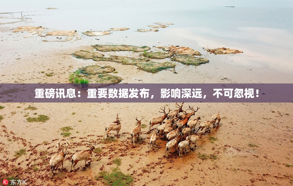重磅讯息：重要数据发布，影响深远，不可忽视！