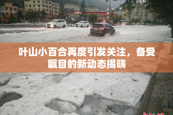 叶山小百合再度引发关注，备受瞩目的新动态揭晓