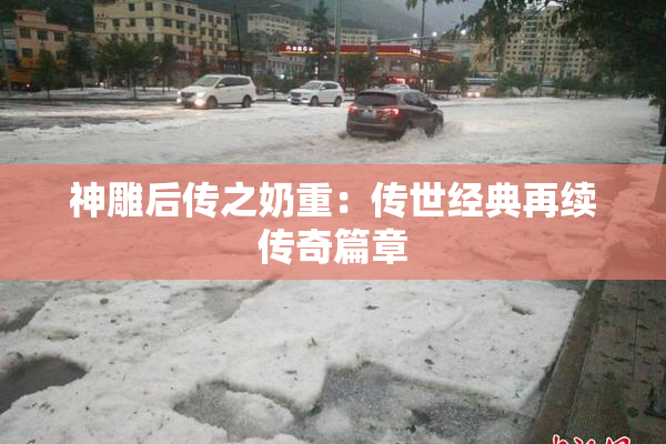 神雕后传之奶重：传世经典再续传奇篇章