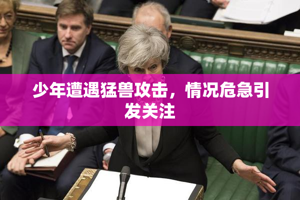 少年遭遇猛兽攻击，情况危急引发关注
