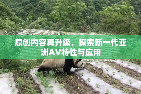 原创内容再升级，探索新一代亚洲AV特性与应用