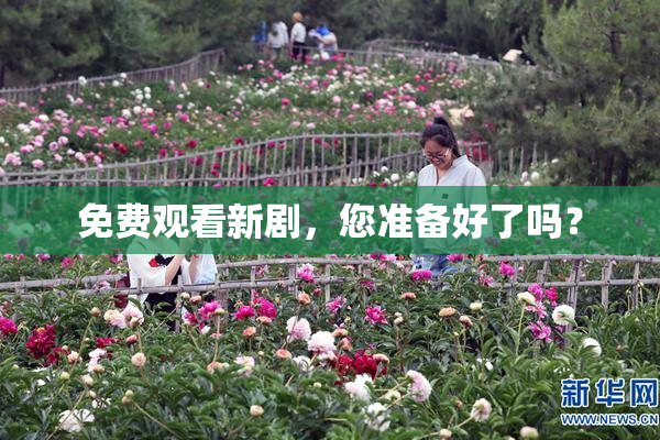 免费观看新剧，您准备好了吗？