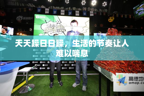 天天躁日日躁，生活的节奏让人难以喘息