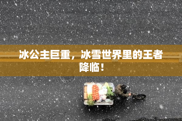 冰公主巨重，冰雪世界里的王者降临！