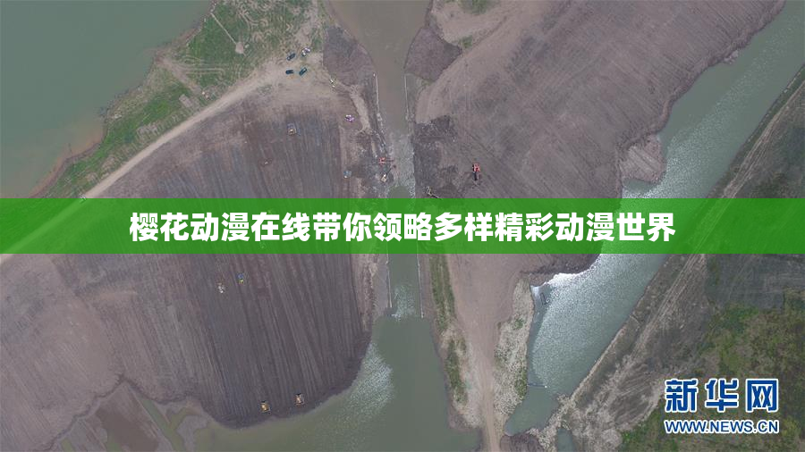 樱花动漫在线带你领略多样精彩动漫世界