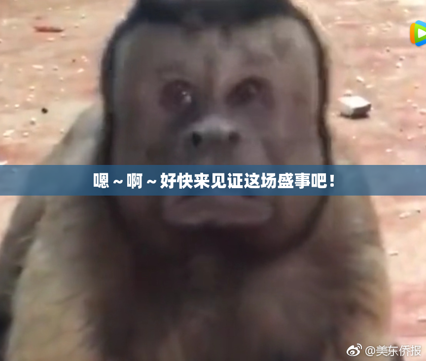 嗯～啊～好快来见证这场盛事吧！