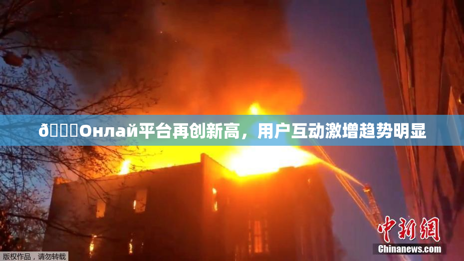 🐔Oнлай平台再创新高，用户互动激增趋势明显
