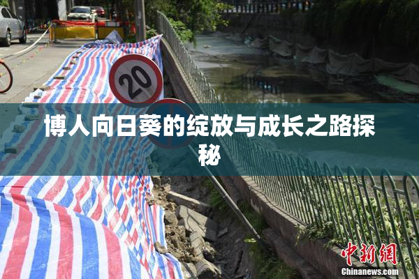 博人向日葵的绽放与成长之路探秘