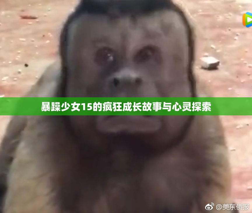 暴躁少女15的疯狂成长故事与心灵探索